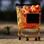 Reddybook Review: In‑Depth Guide to Features, Benefits, and 11xplay Integration